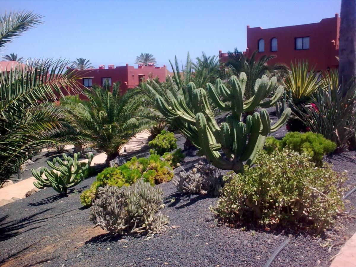 Ferienwohnung Tamarindo I Piscinas De Agua Salada Corralejo Exterior foto